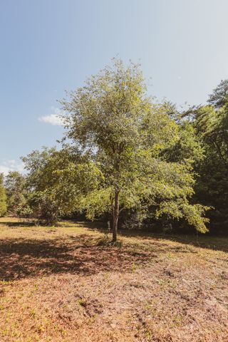 0 Grapevine Road, Crossville, TN 38572