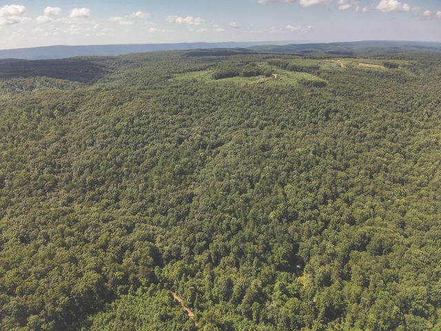 0 Grapevine Road, Crossville, TN 38572