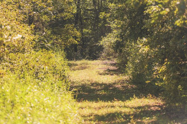 0 Grapevine Road, Crossville, TN 38572