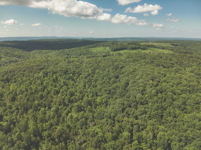0 Grapevine Road, Crossville, TN 38572