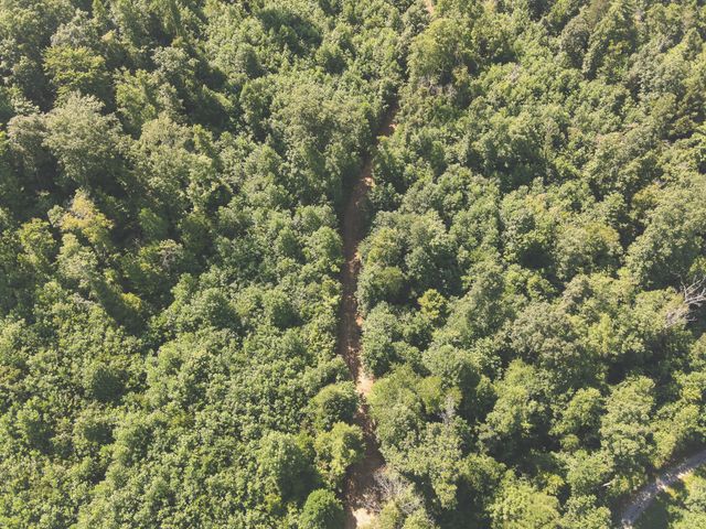 0 Grapevine Road, Crossville, TN 38572