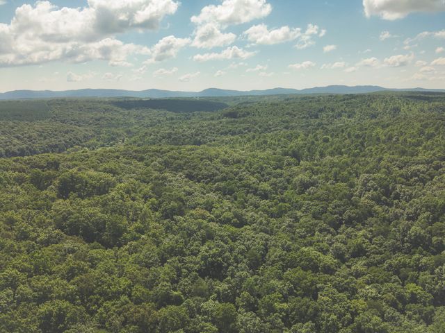 0 Grapevine Road, Crossville, TN 38572