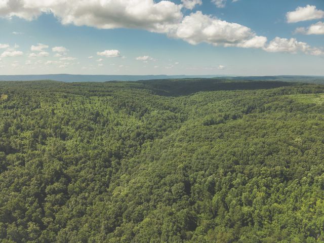 0 Grapevine Road, Crossville, TN 38572