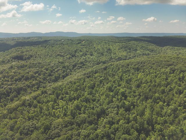 0 Grapevine Road, Crossville, TN 38572