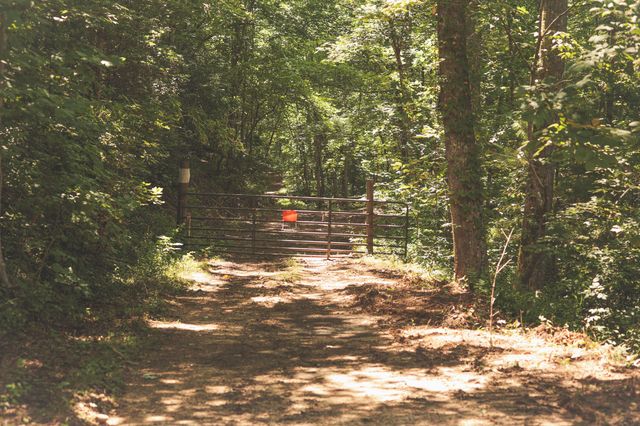 0 Grapevine Road, Crossville, TN 38572