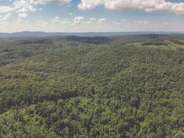 0 Grapevine Road, Crossville, TN 38572
