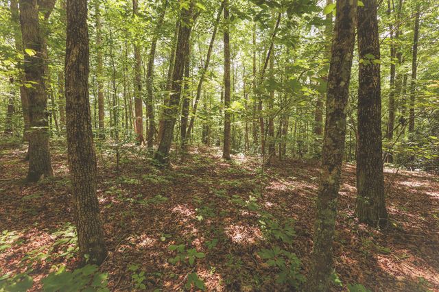 0 Grapevine Road, Crossville, TN 38572