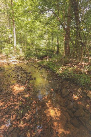 0 Grapevine Road, Crossville, TN 38572