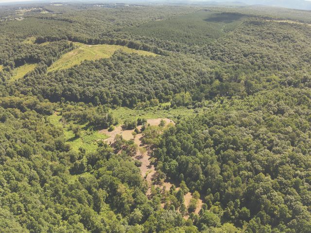 0 Grapevine Road, Crossville, TN 38572
