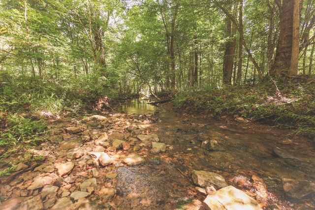 0 Grapevine Road, Crossville, TN 38572