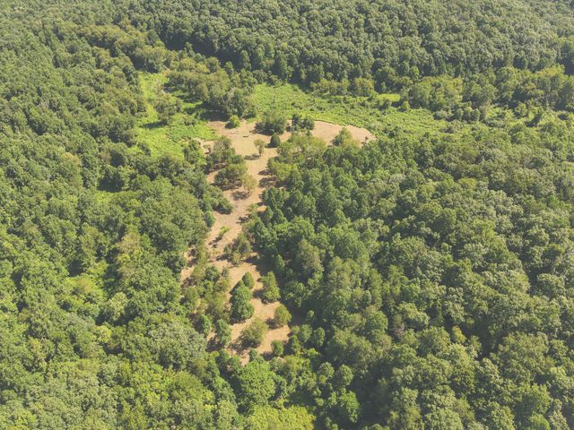 0 Grapevine Road, Crossville, TN 38572