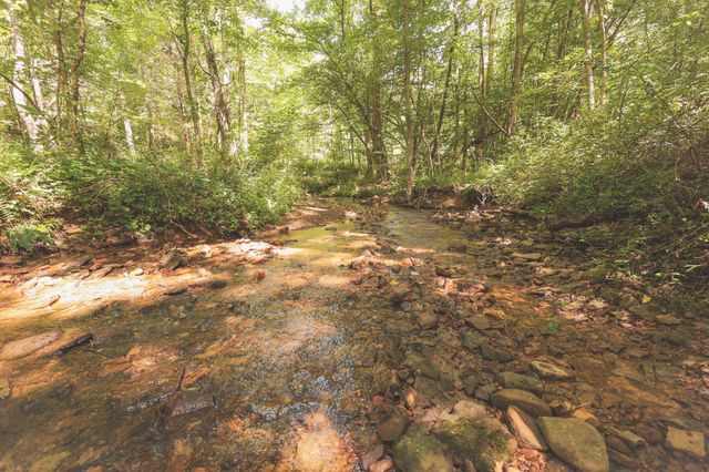0 Grapevine Road, Crossville, TN 38572