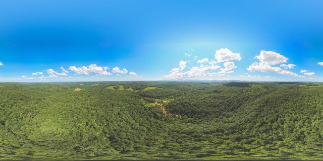 0 Grapevine Road, Crossville, TN 38572