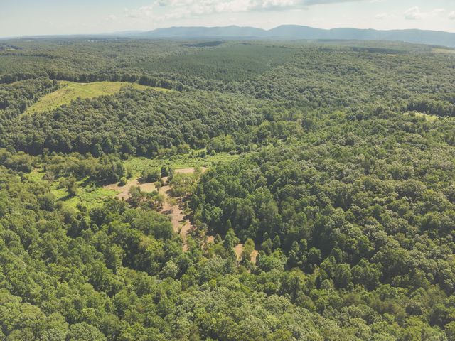 0 Grapevine Road, Crossville, TN 38572