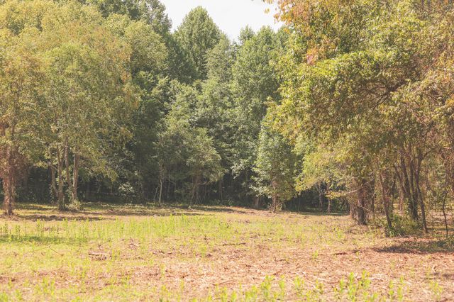 0 Grapevine Road, Crossville, TN 38572