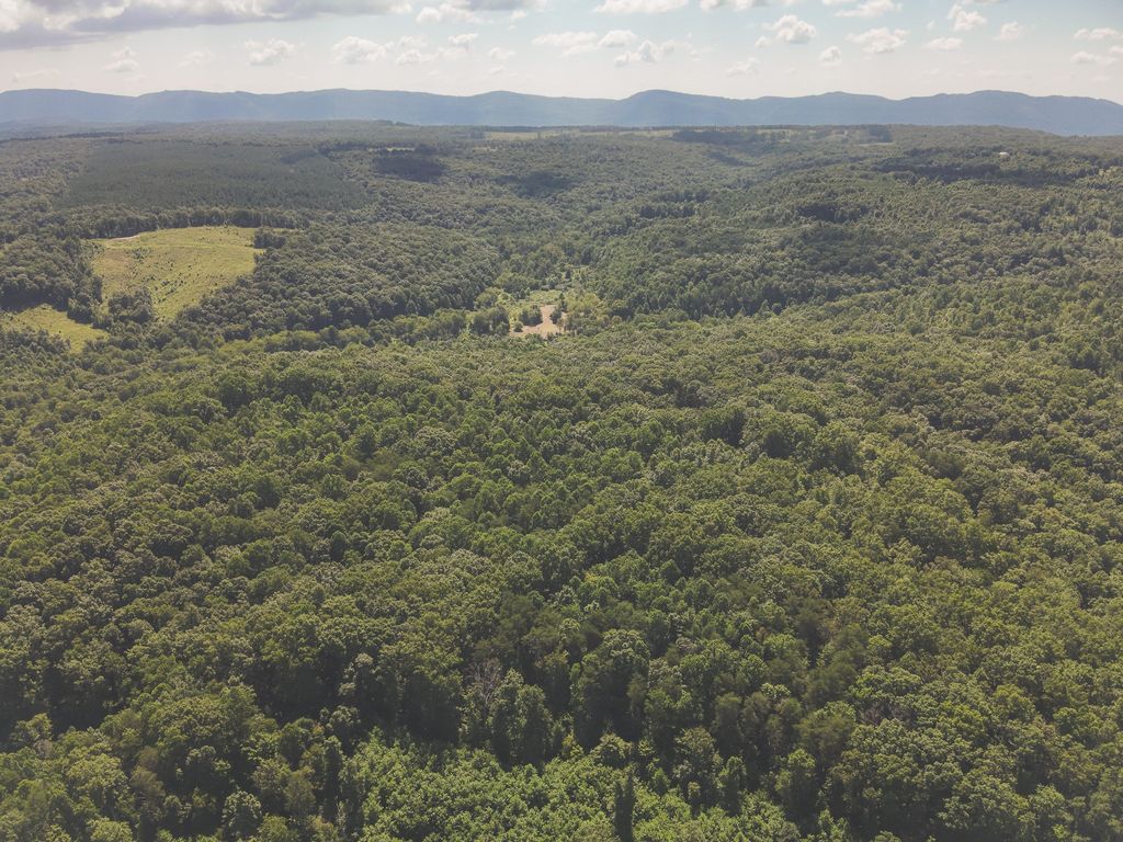 0 Grapevine Road, Crossville, TN 38572