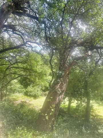 101 River View Road, Millsap, TX 76066