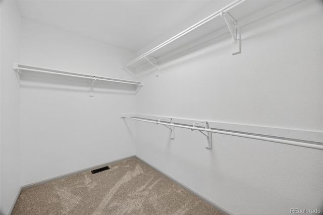 16396 Wagon Court, Parker, CO 80134