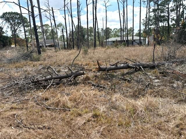 245 Moon River Avenue, Sebring, FL 33852