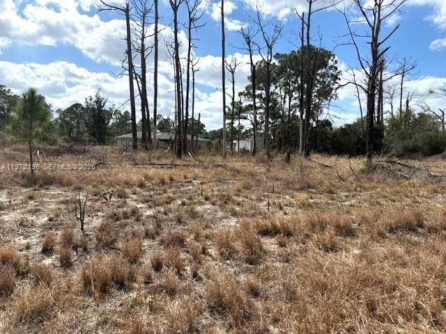 245 Moon River Avenue, Sebring, FL 33852