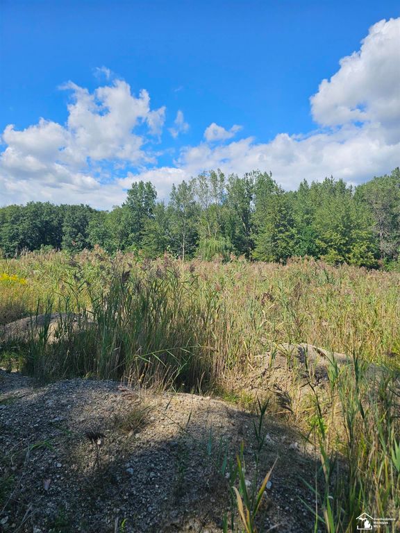 19330 Gudith Road, Trenton, MI 48183