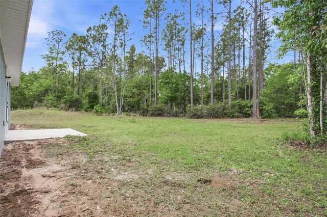 1730 BERRYBUSH STREET, Bunnell, FL 32110