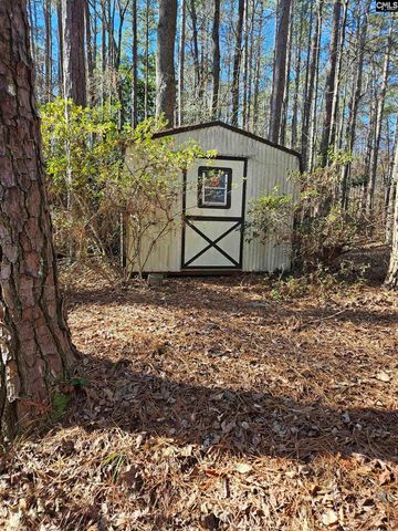 303 Carlisle Avenue, Winnsboro, SC 29180