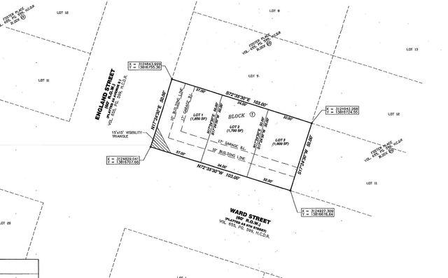 4309 Ward Street, Houston, TX 77021