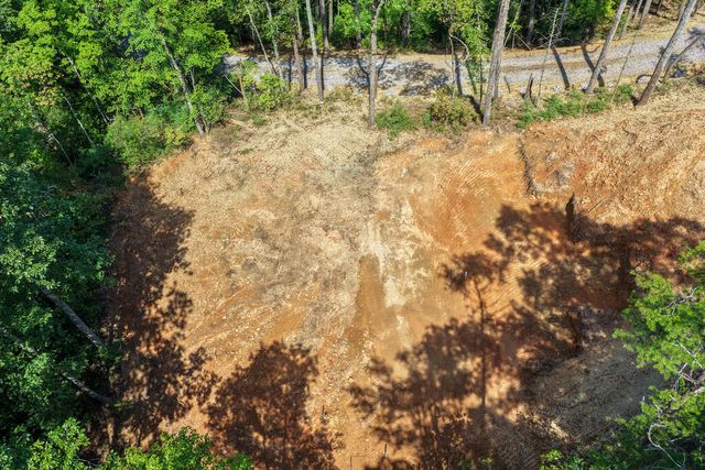 Lot 1 Rock Creek, Cherry Log, GA 30522