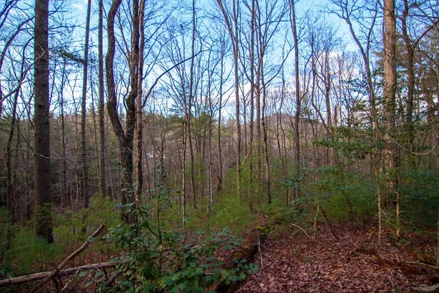 Lot 1 Rock Creek, Cherry Log, GA 30522