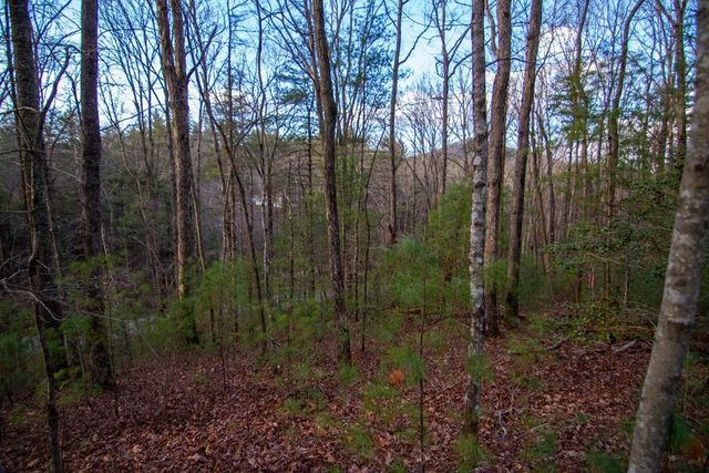 Lot 1 Rock Creek, Cherry Log, GA 30522