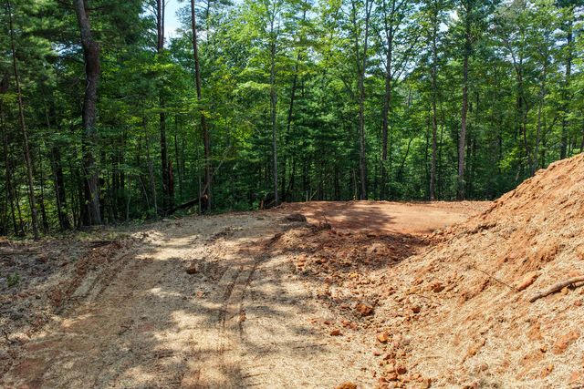 Lot 1 Rock Creek, Cherry Log, GA 30522