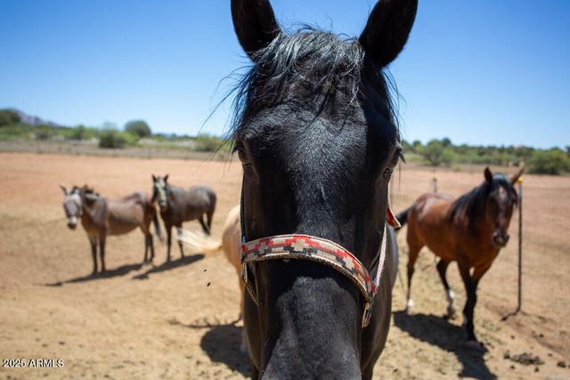 9900 N SYCAMORE PASS Road, Sedona, AZ 86336