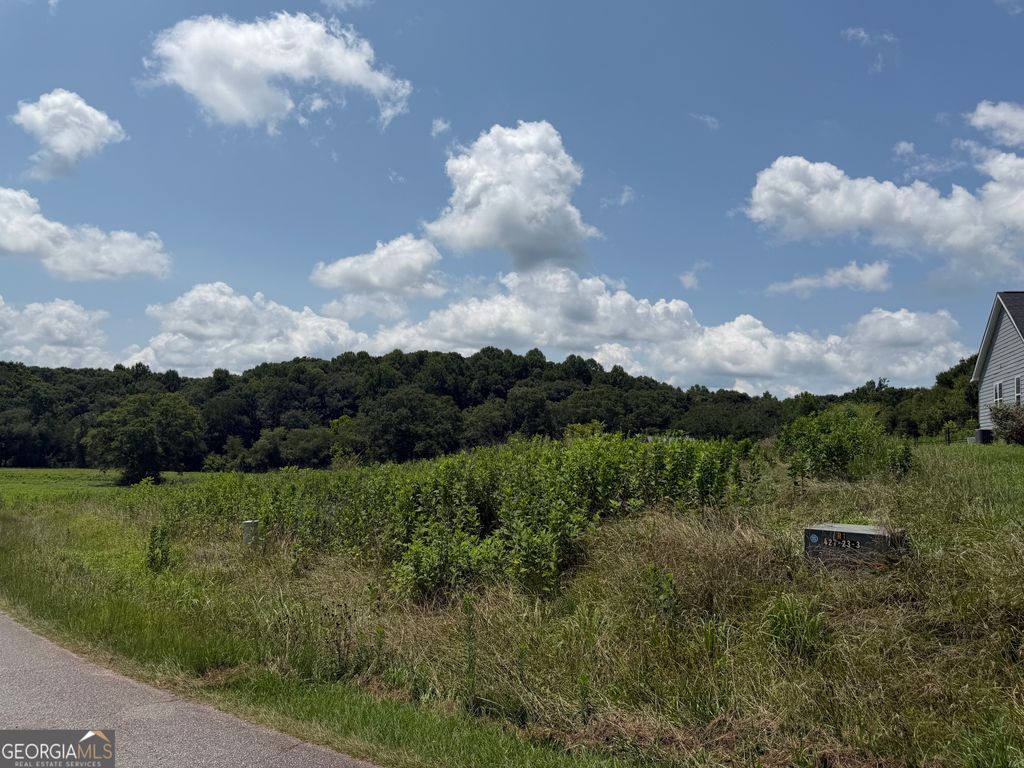 0 Middle Fork Lane 2,4, Carnesville, GA 30521 — exterior