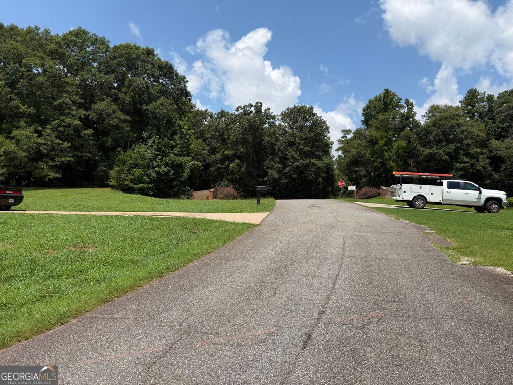 0 Middle Fork Lane 2,4, Carnesville, GA 30521 — photo 3