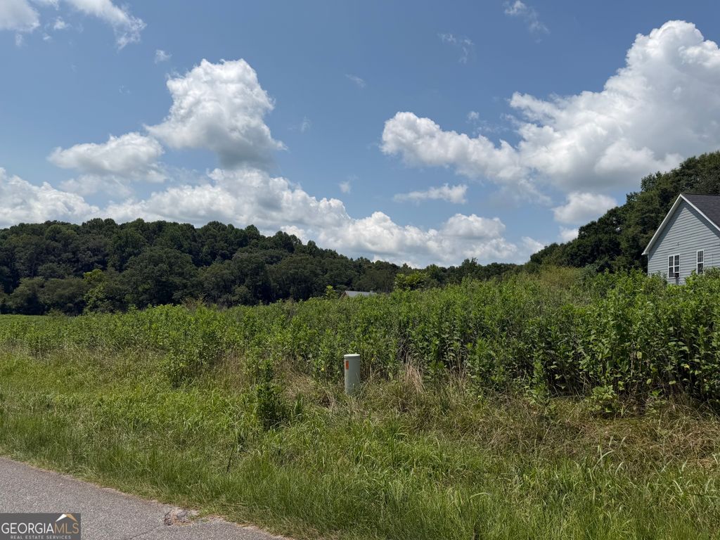 0 Middle Fork Lane 2,4, Carnesville, GA 30521 — photo 4