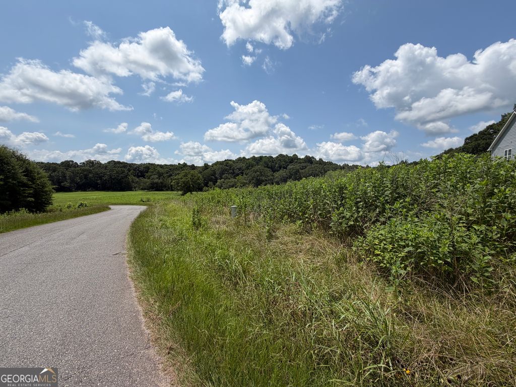 0 Middle Fork Lane 2,4, Carnesville, GA 30521 — photo 5