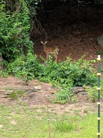 244 Page Road, Bow, NH 03304