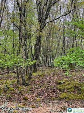 Spring Court, Pike, PA 18324
