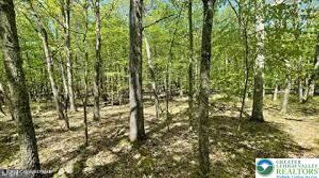 Spring Court, Pike, PA 18324