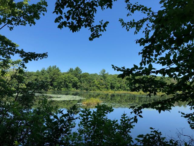 2415 Bay Rd, Sharon, MA 02067