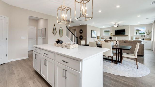 8675 Chesford Grove, Ball Ground, GA 30107
