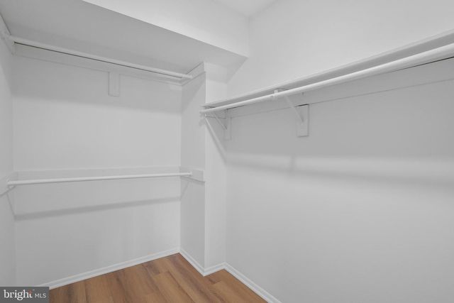 3966 WOODHUE PL, Alexandria, VA 22309