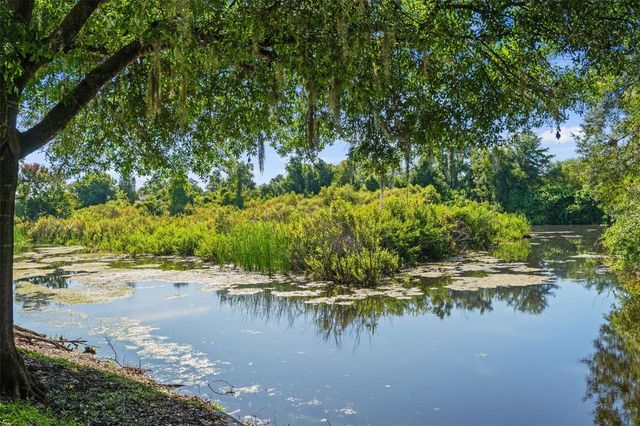 1920 HAMMOCKS AVENUE 1002, Lutz, FL 33549