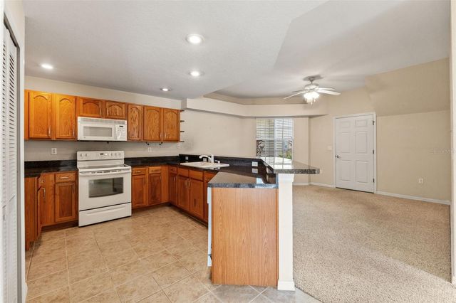 1920 HAMMOCKS AVENUE 1002, Lutz, FL 33549