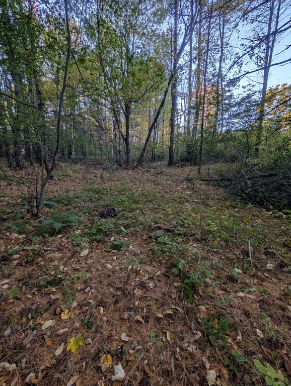 69 Lot 3 New Gloucester Road Lot 3, North Yarmouth, ME 04097 — photo 3