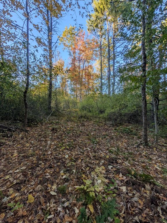 69 Lot 3 New Gloucester Road Lot 3, North Yarmouth, ME 04097 — photo 4