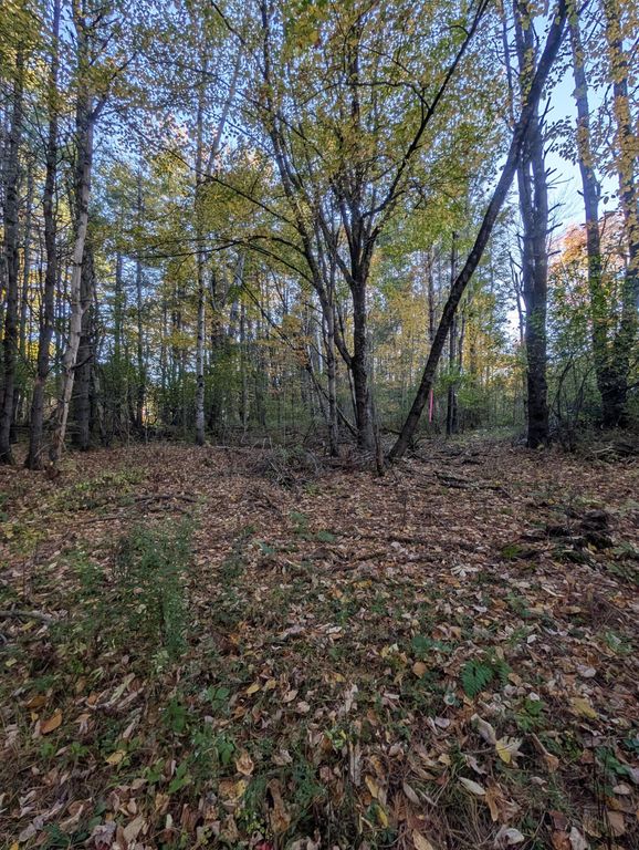 69 Lot 3 New Gloucester Road Lot 3, North Yarmouth, ME 04097 — photo 5