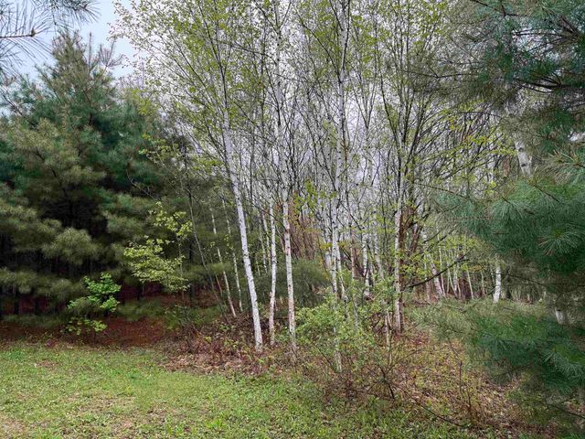 3781 Flamstead Road, Chester, VT 05143