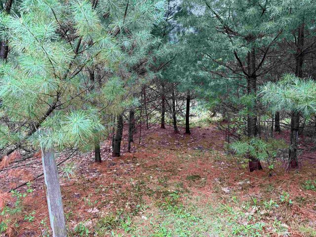 3781 Flamstead Road, Chester, VT 05143